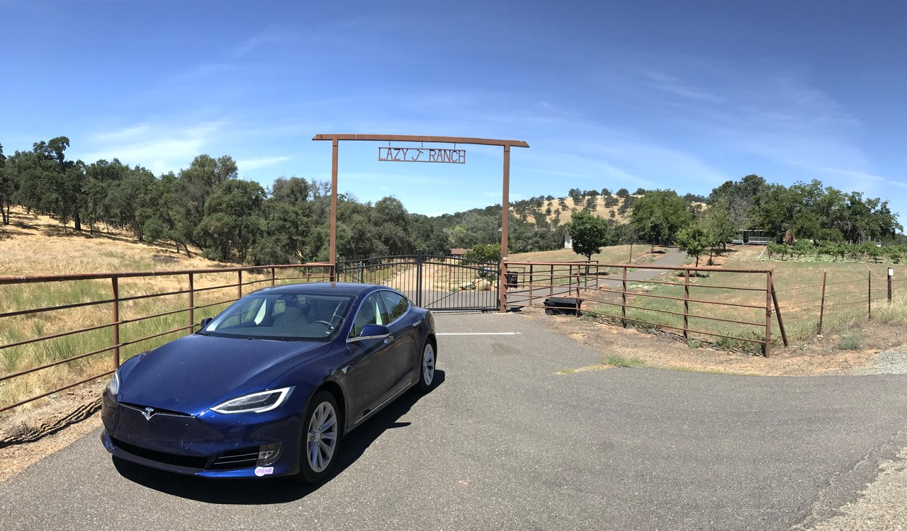 Tesla at Lazy J Ranch