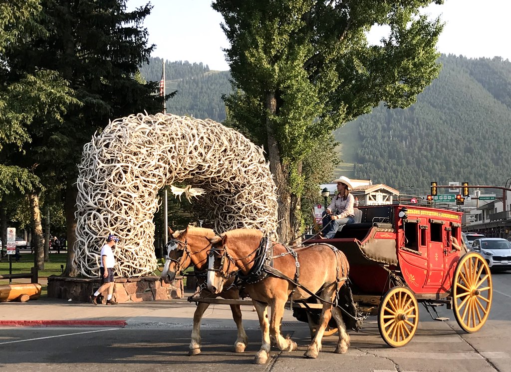 Jackson Horse and Carriage